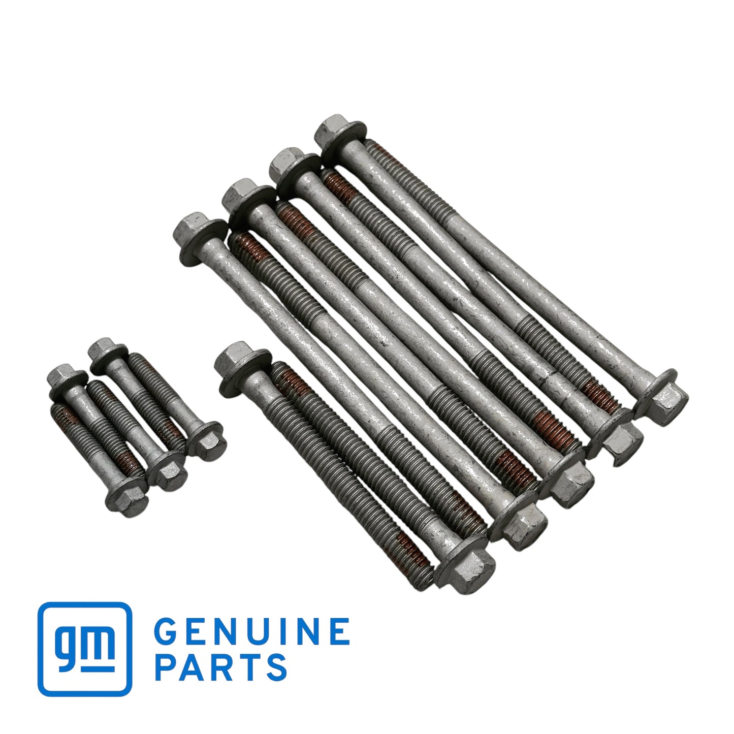Genuine GM LS1 Cylinder Head Bolt Kit 12498545