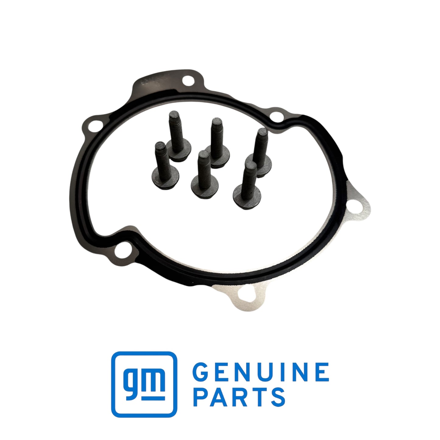 Genuine GM V6 Water pump kit 12709178