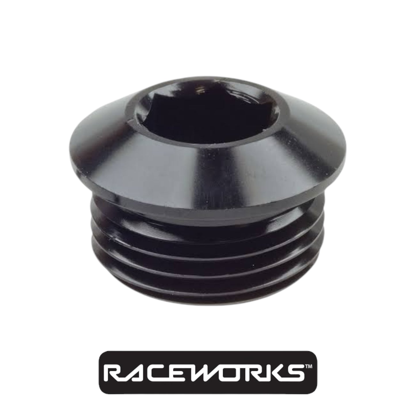 Raceworks AN in Hex O-Ring Plug AN-6 RWF-814-06BK